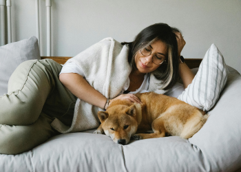 Como proteger seu lar e seu pet ao mesmo tempo?